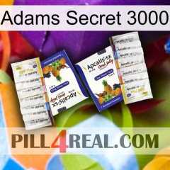 Adams Secret 3000 12